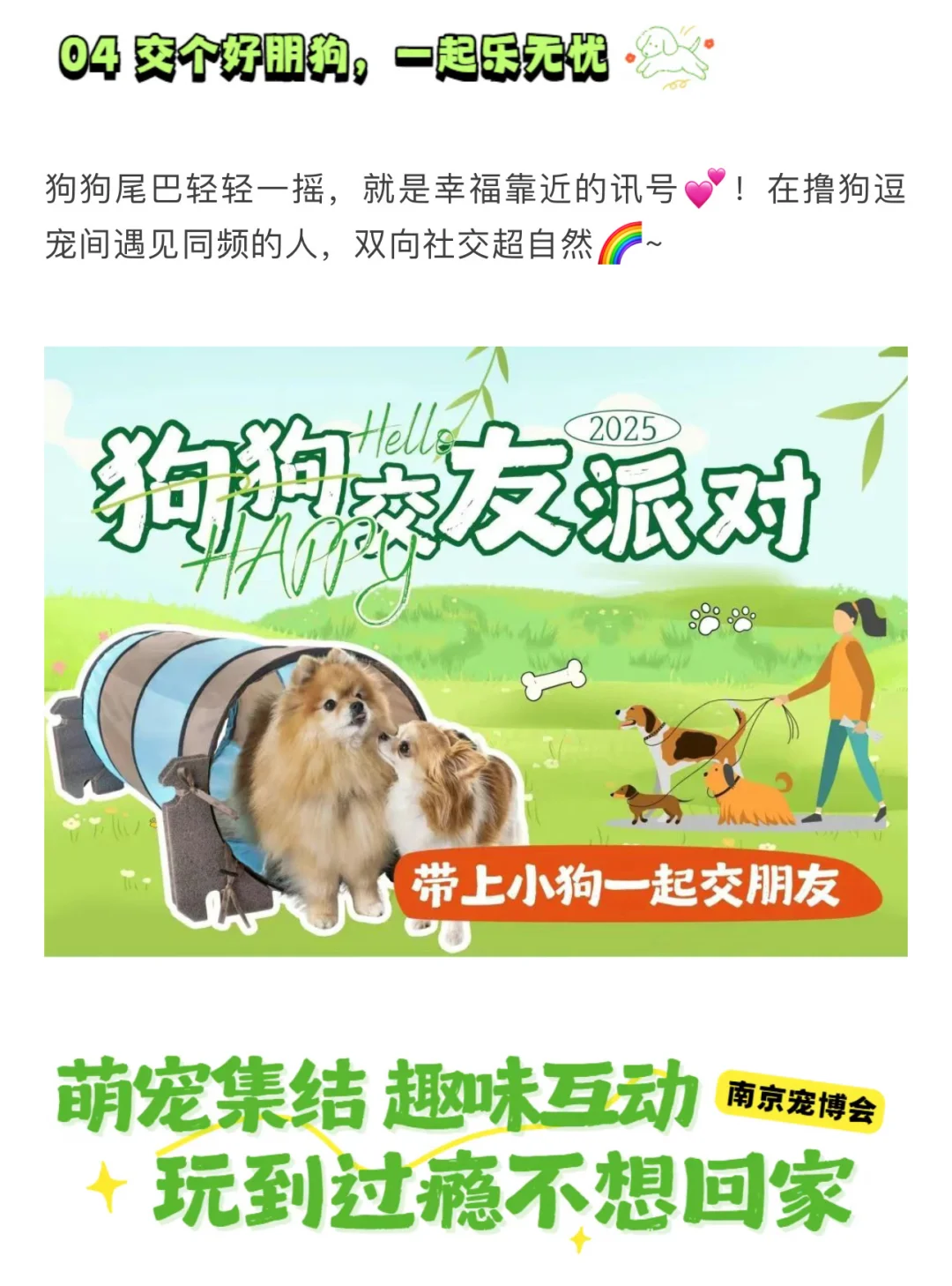 萌力全开‼️南京宠博会17号门票18啦?快来薅