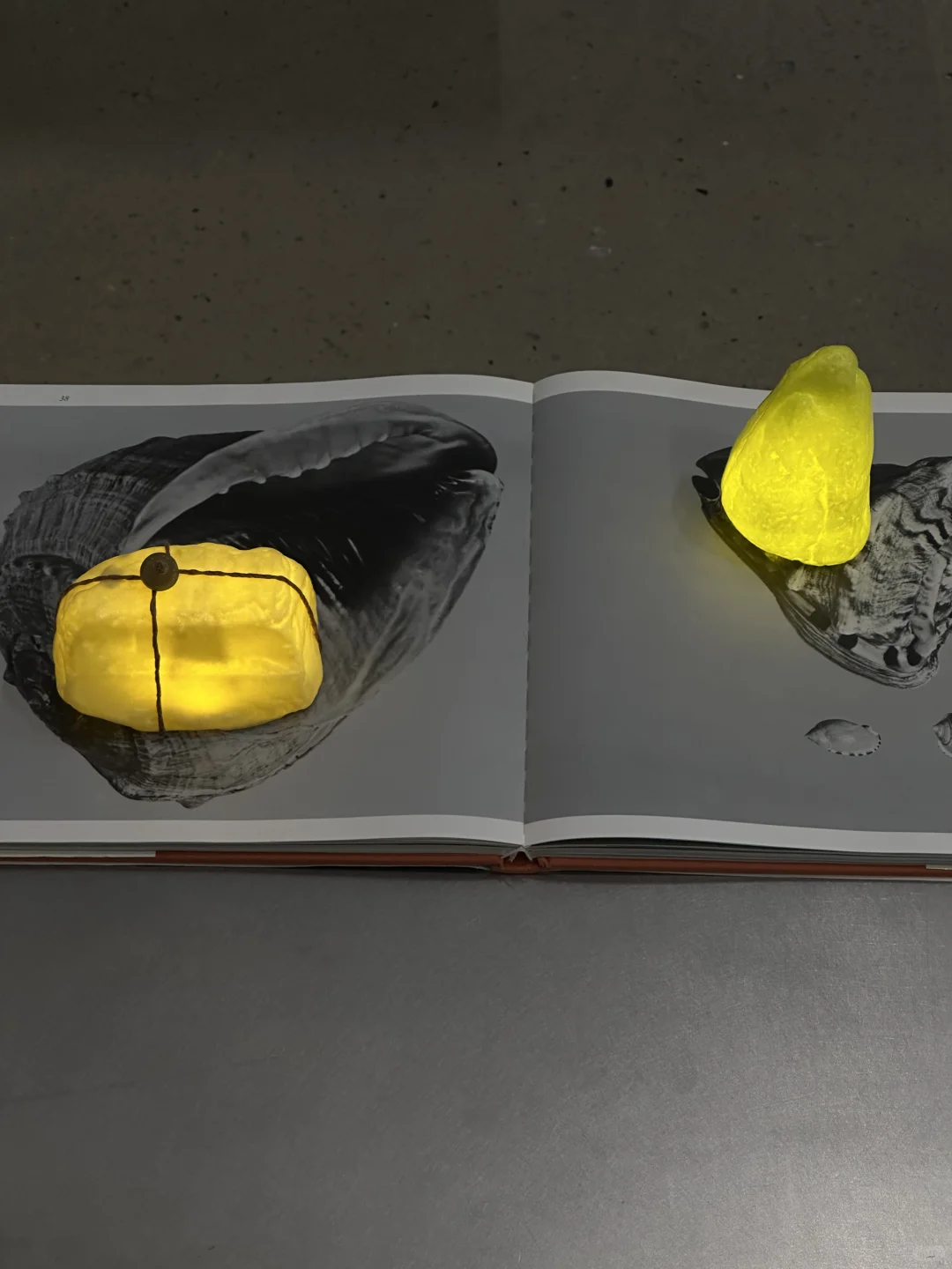 展览｜时装周不能错过的艺术家具盛会?️