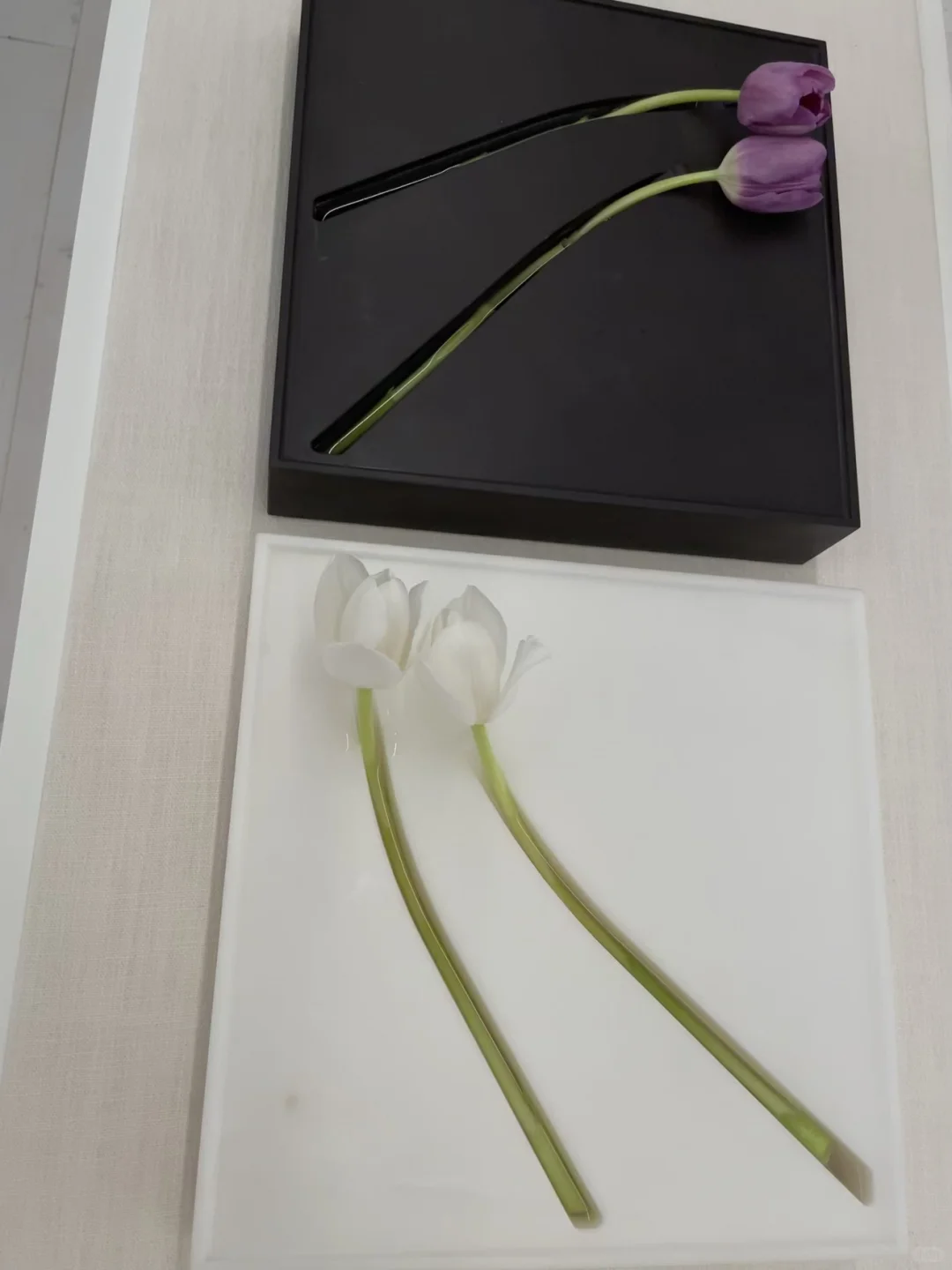 摩登上海设计周：2025设计师必看设计展！