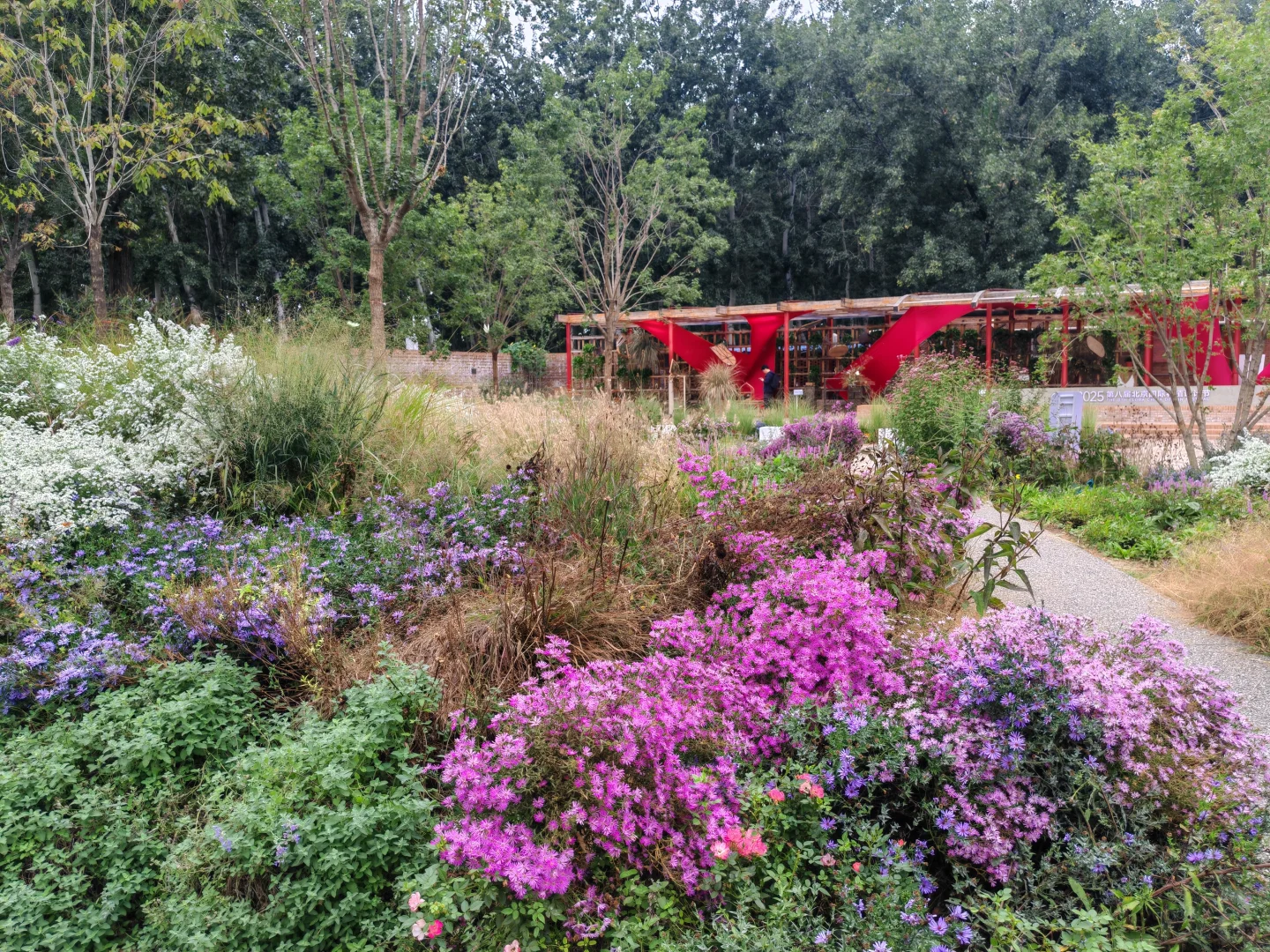 即便没有花植设计展，这个公园的花海也很美