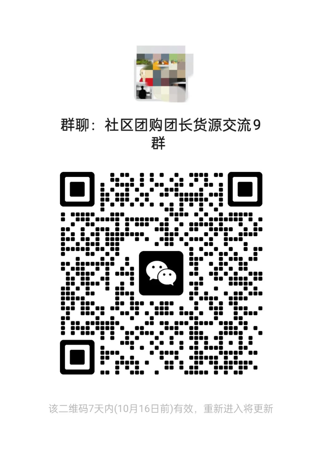 社区团购货源团长交流沟通9群