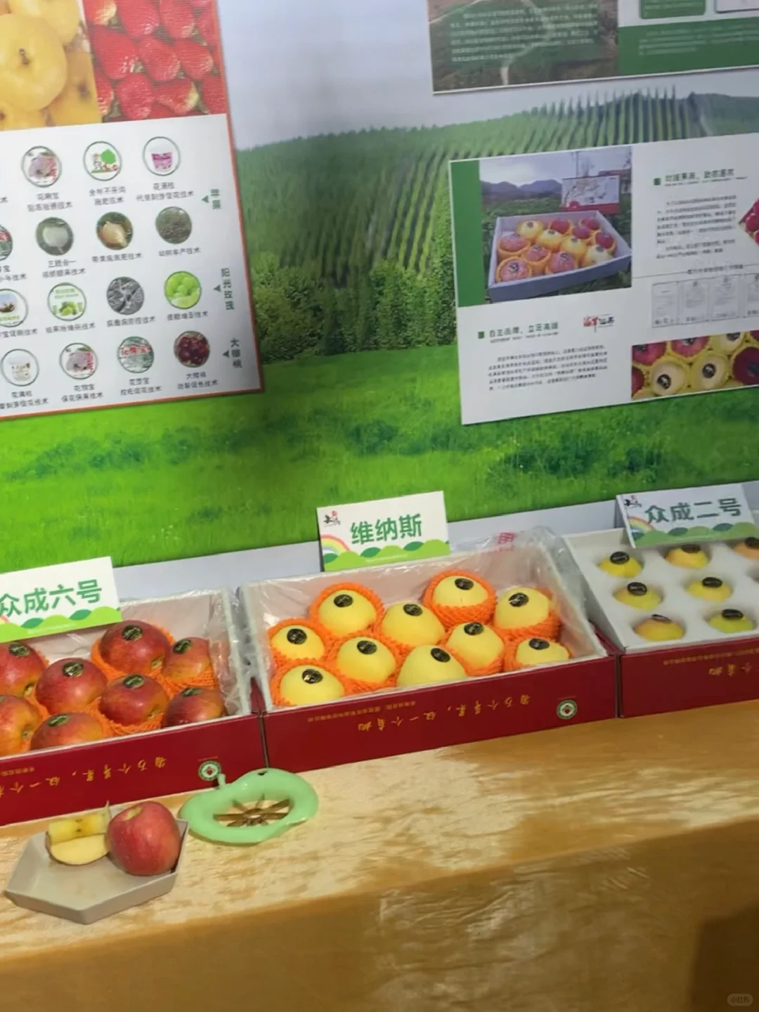 烟台第四届?苹果节来了