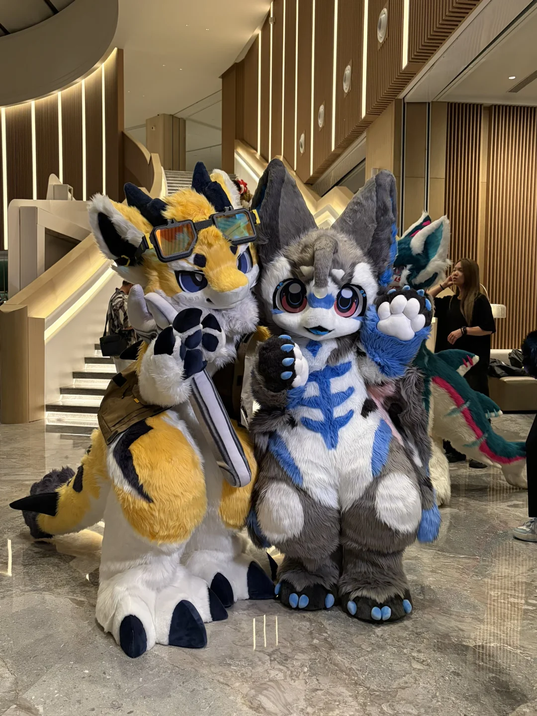 Hi furry值得五星好评