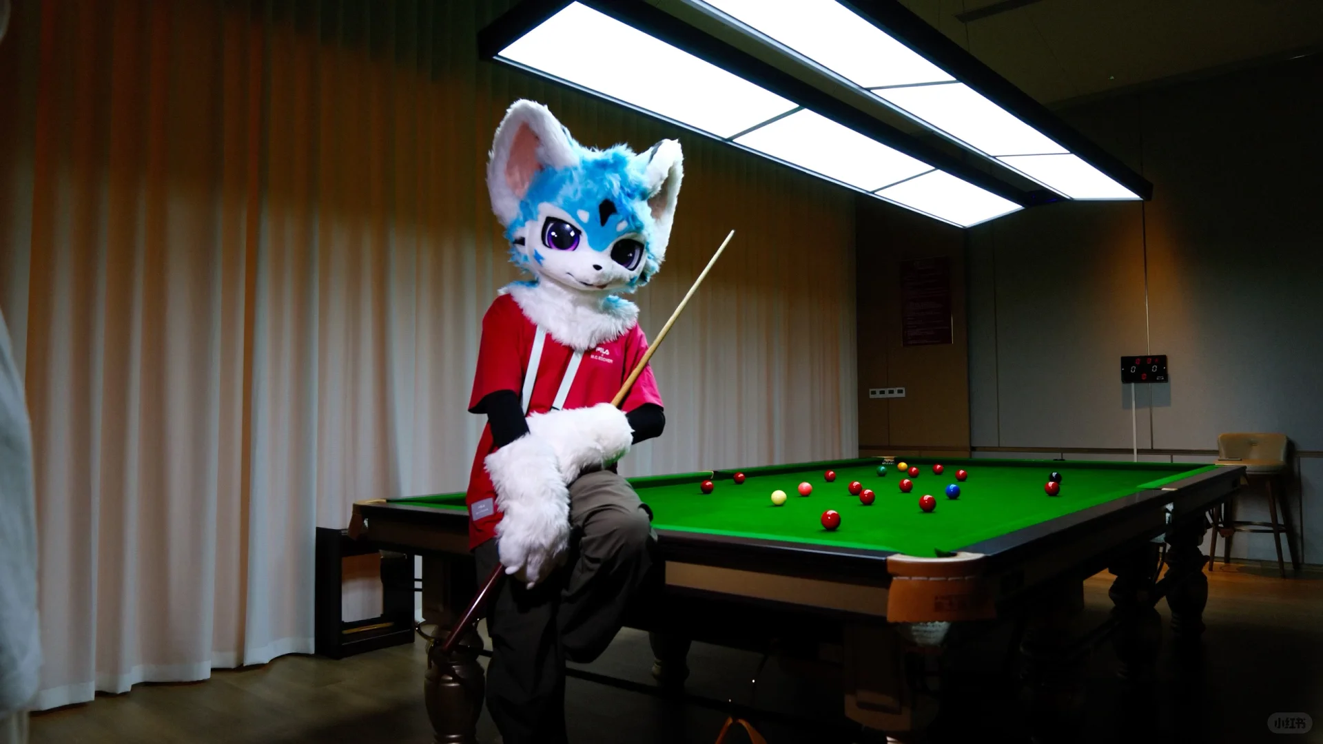 Hi furry值得五星好评