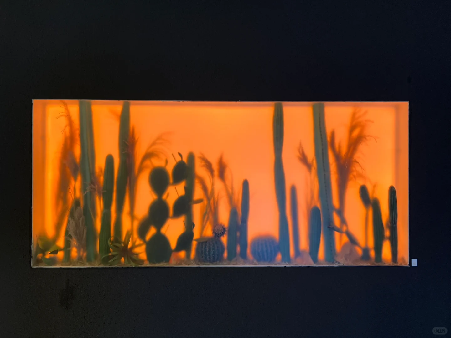 ✨魔都看展｜设计上海2025沉浸式Plog?