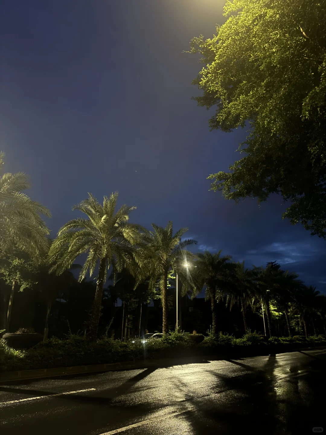 说真的这个外站非去不可吗？