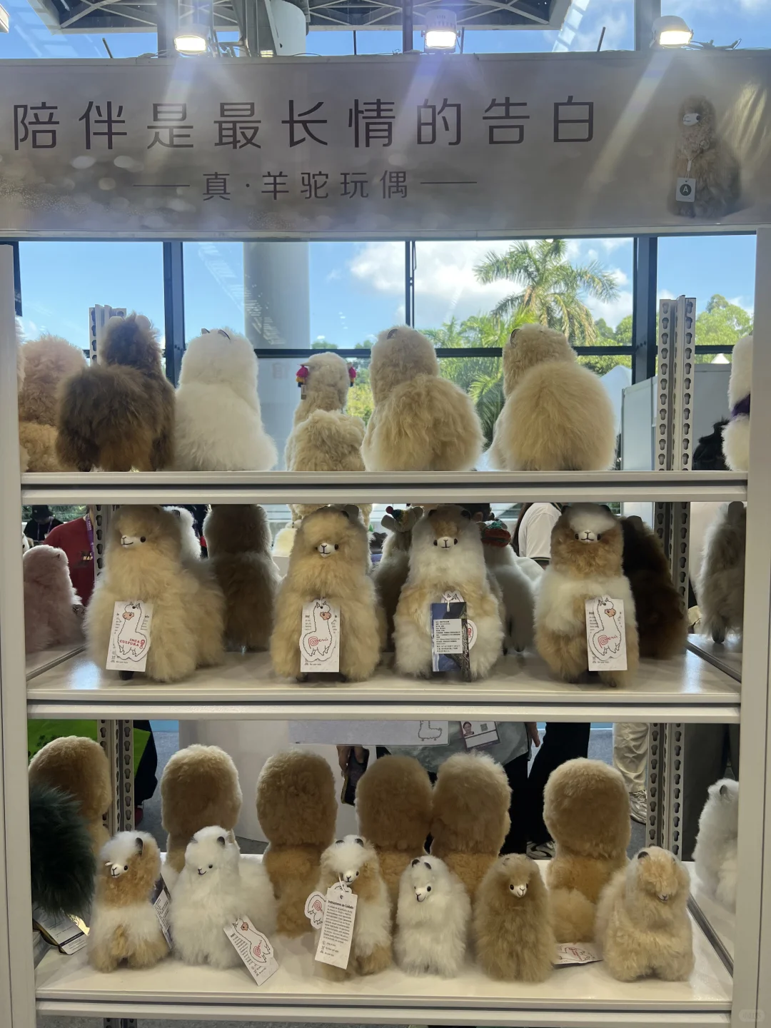 东盟博览会明日向公众开放 看看我淘了啥