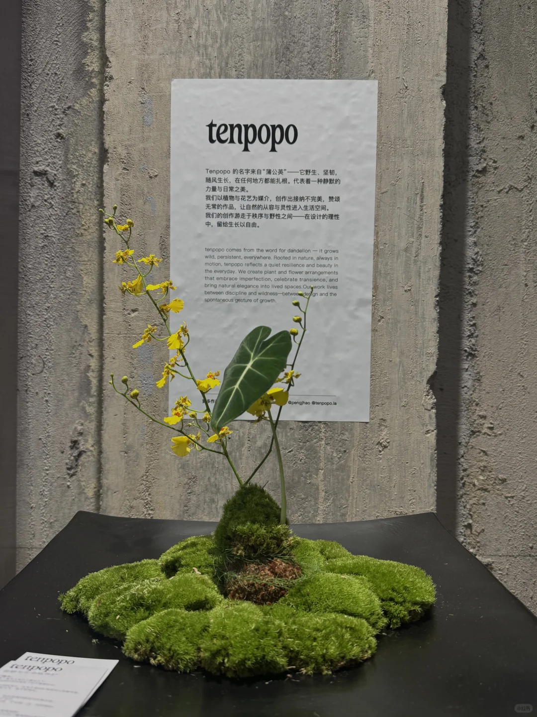 MANIFESTOFair 设计展