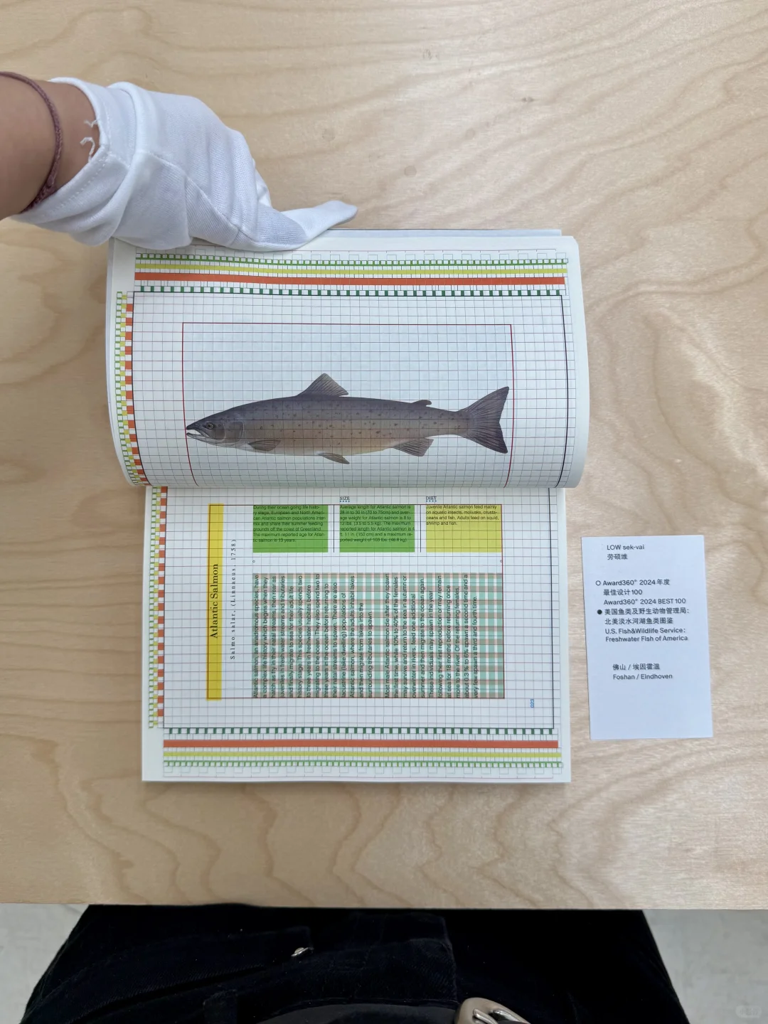 十一留守上海的别忘来这