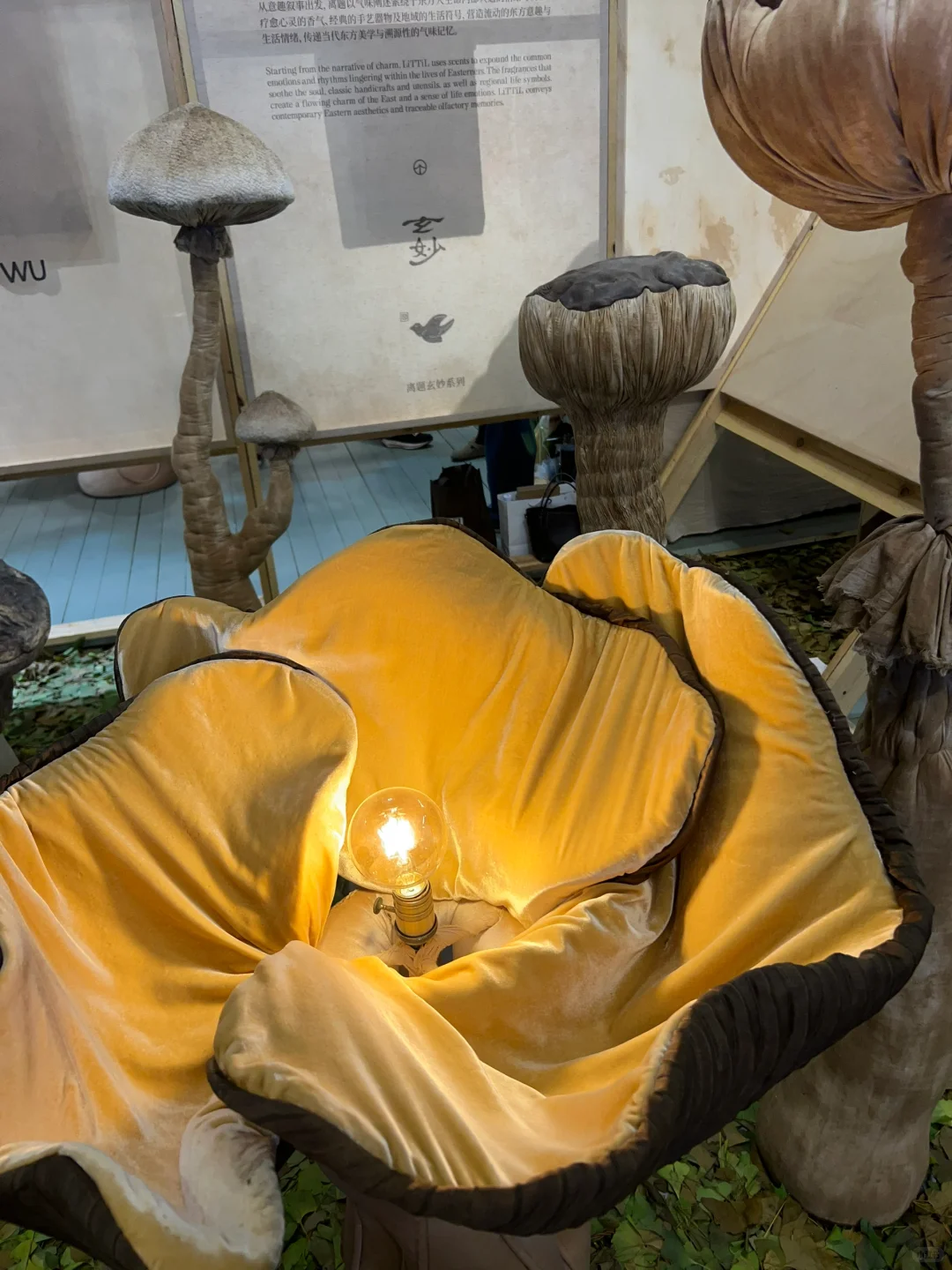 ✨魔都看展｜设计上海2025沉浸式Plog?