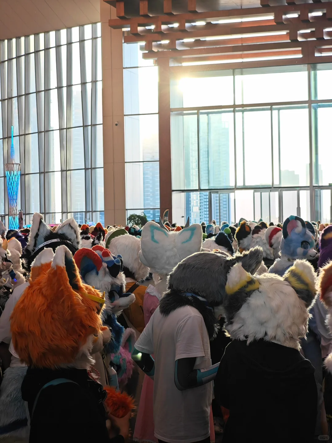 Hi furry值得五星好评