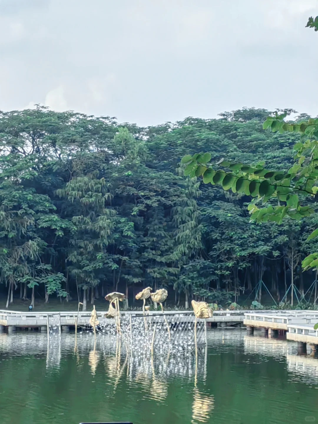 逛公园，看松山湖双年展，拥抱更开阔的世界