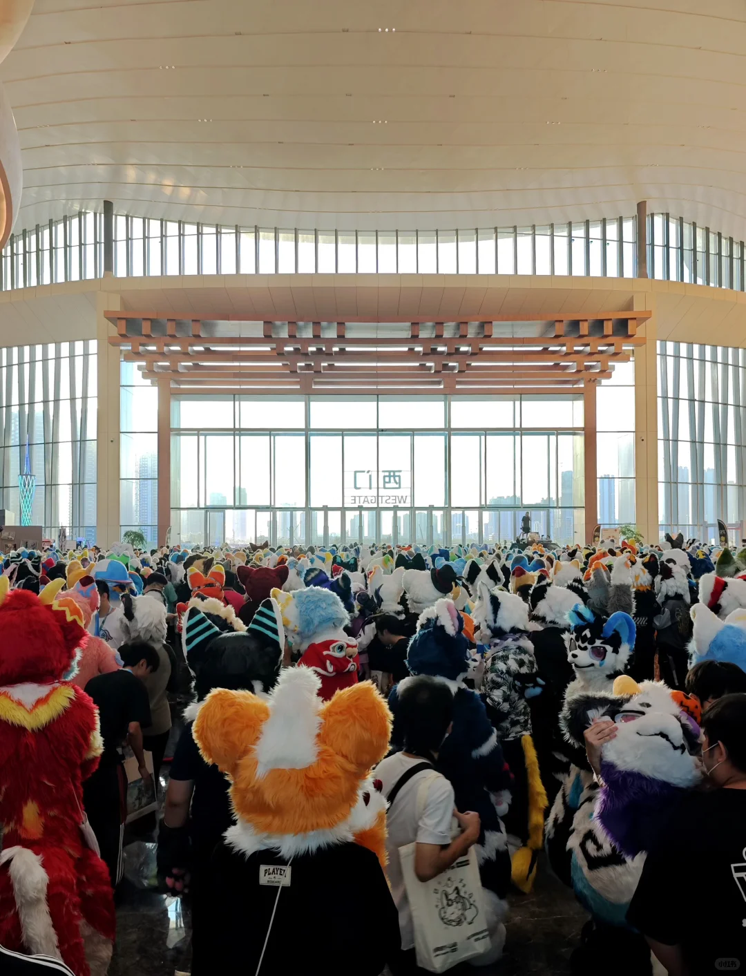 Hi furry值得五星好评