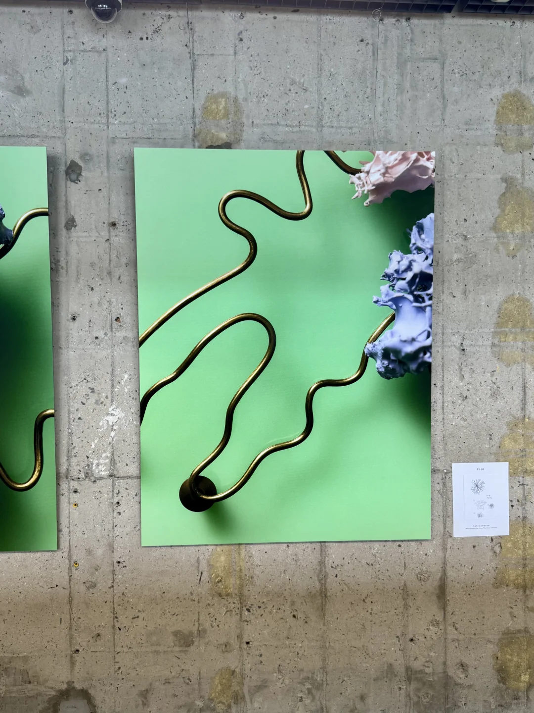 北京……果然坠好的展览都是免费的！！