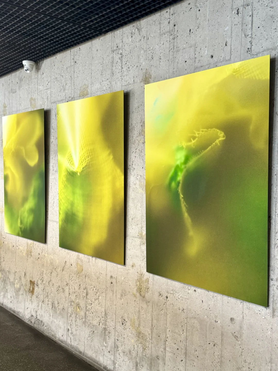 北京……果然坠好的展览都是免费的！！