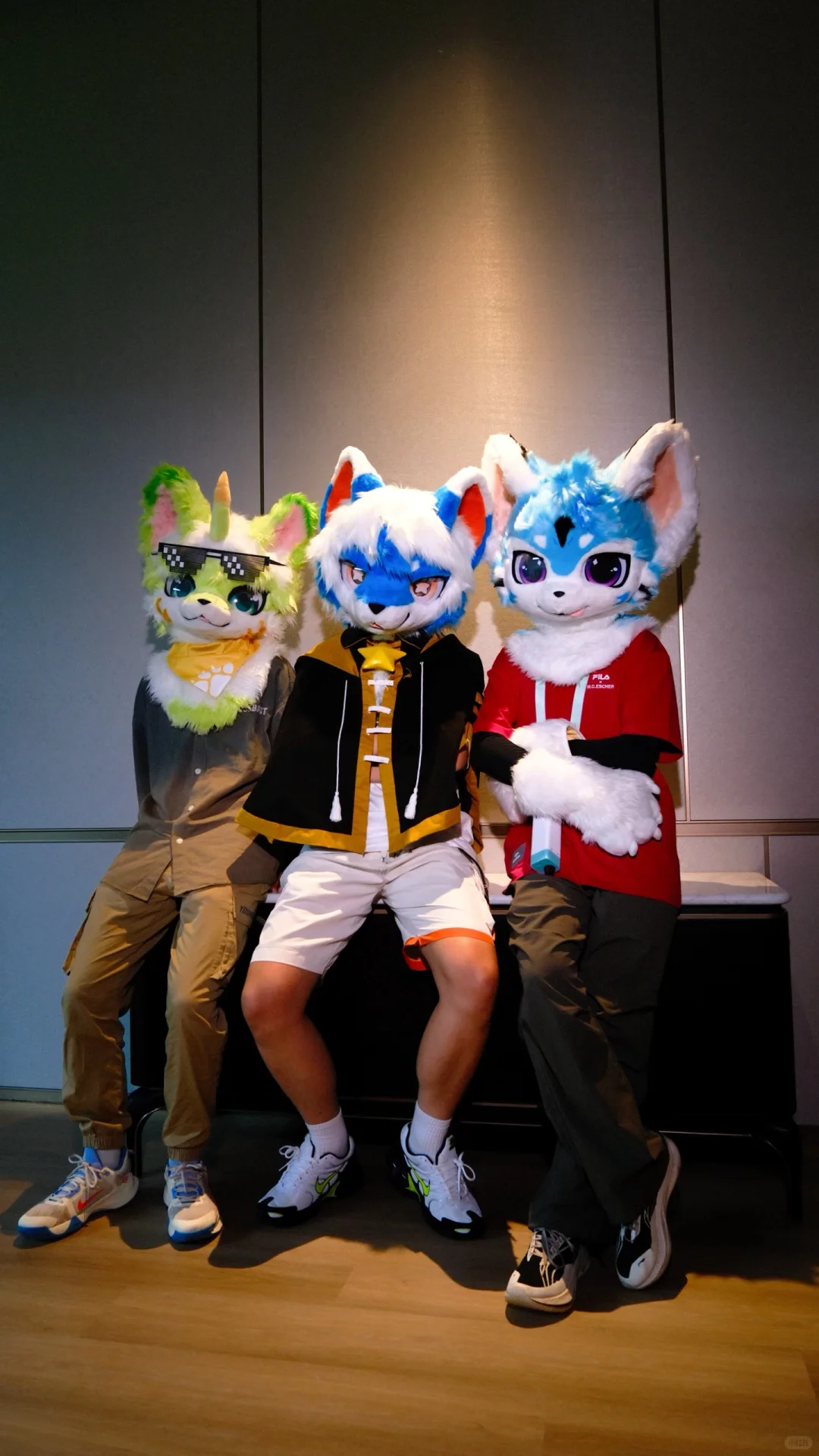 Hi furry值得五星好评