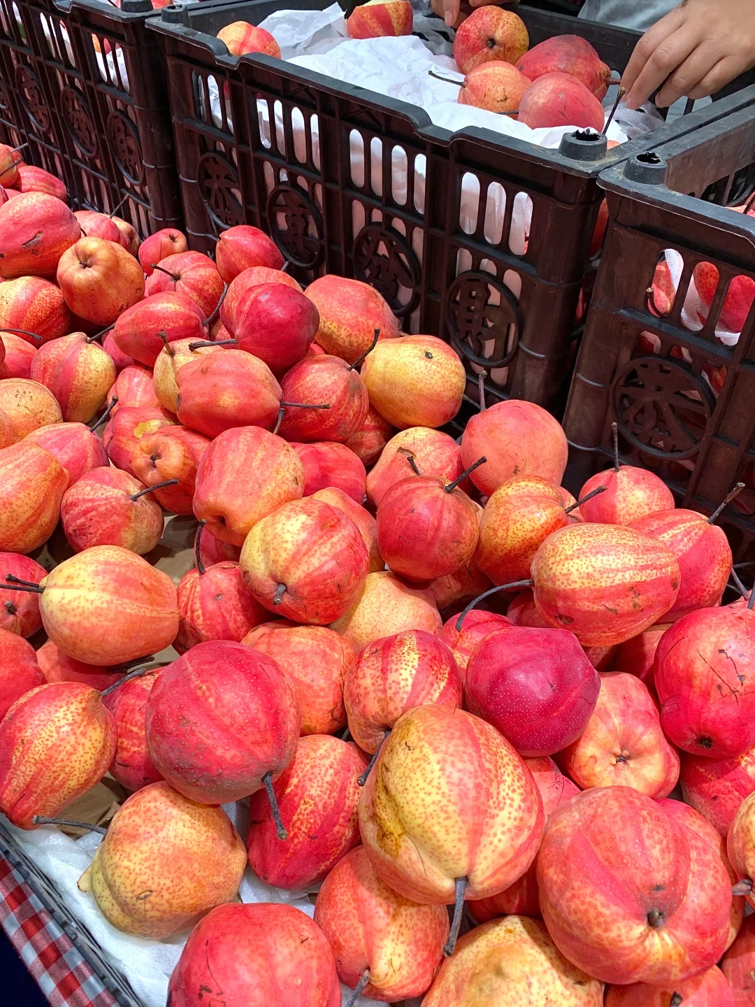 哈尔滨首届中外商品博览会??免费哒