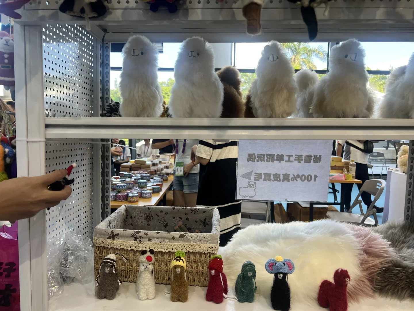 东盟博览会明日向公众开放 看看我淘了啥