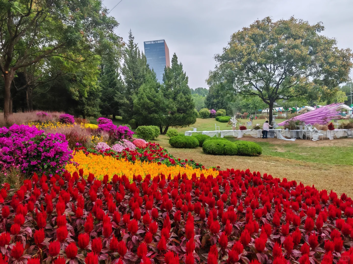 即便没有花植设计展，这个公园的花海也很美