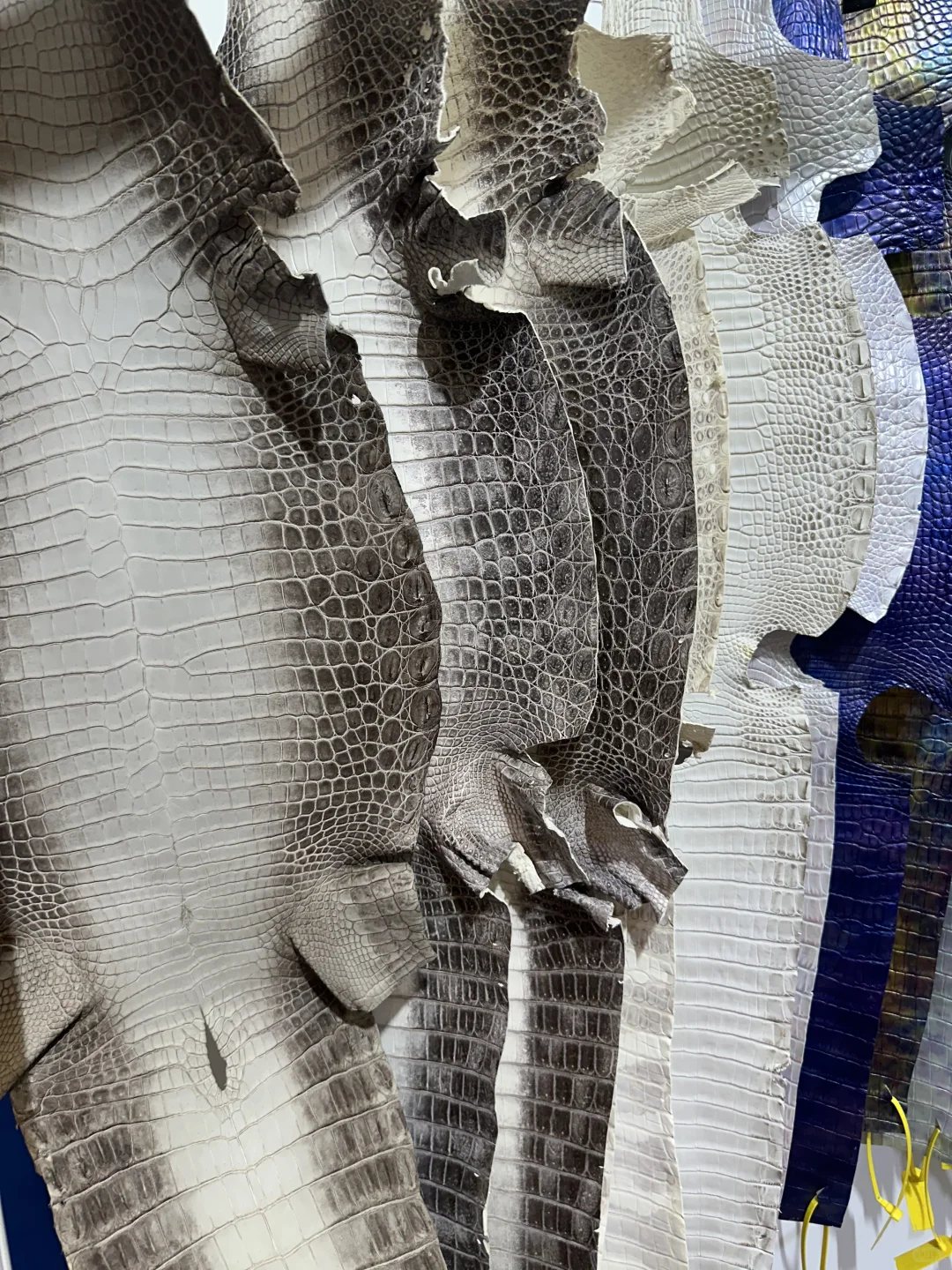 2025上海新国际博览中心皮革展打卡