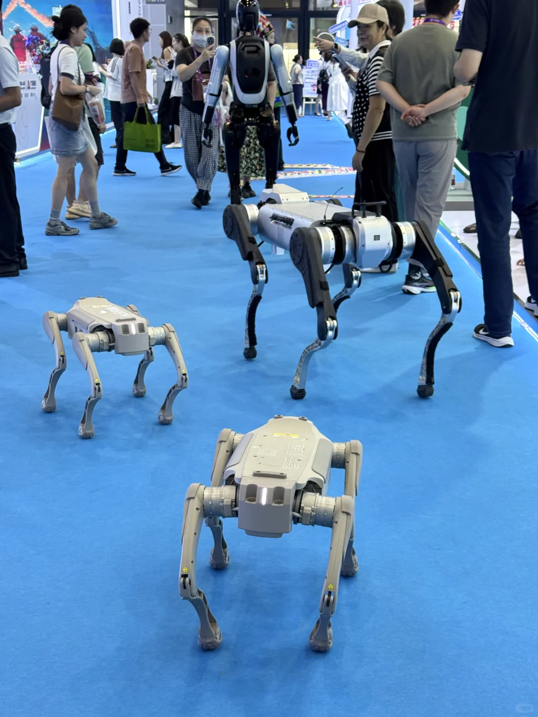 广西南宁2025东盟博览会?