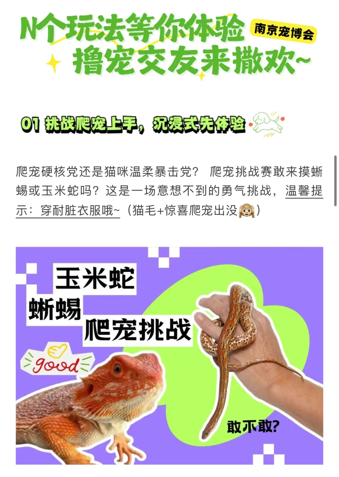 萌力全开‼️南京宠博会17号门票18啦?快来薅
