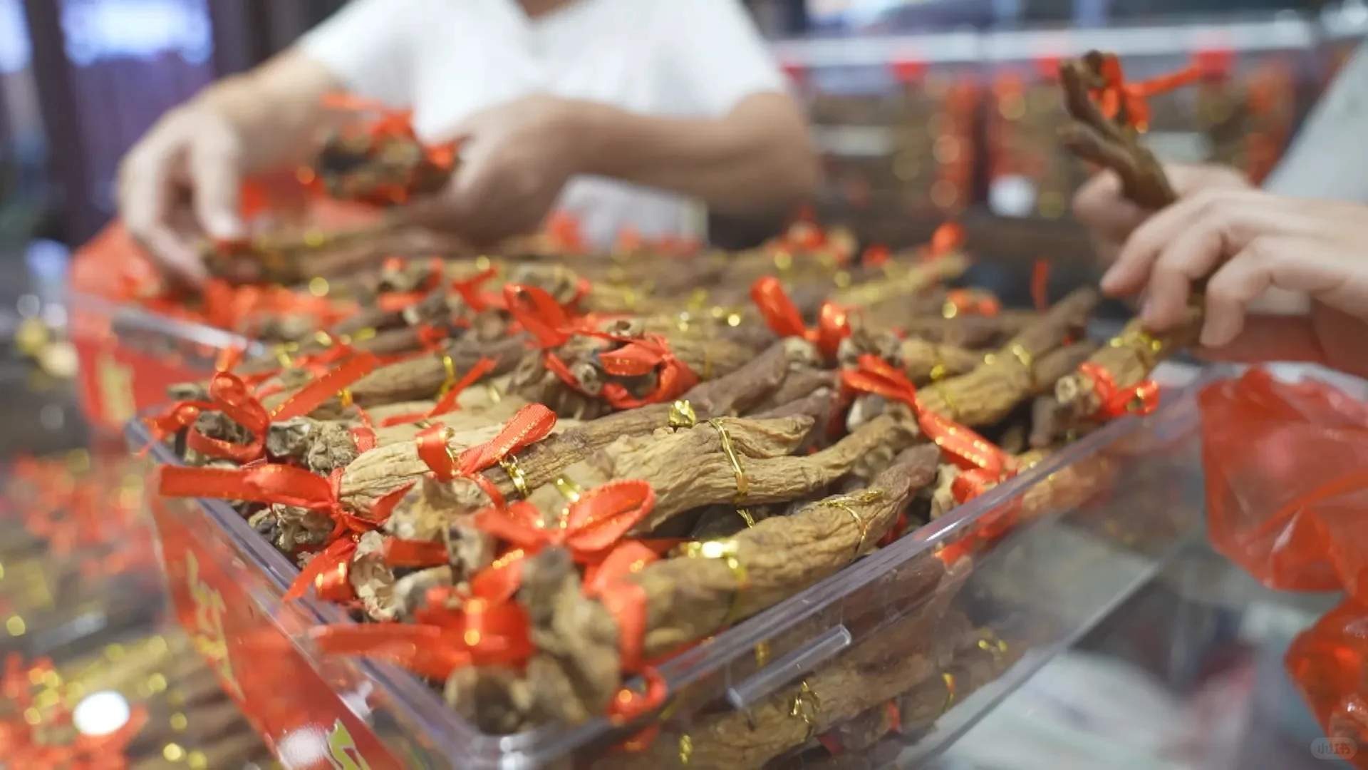 金秋十月千年药都再续华章