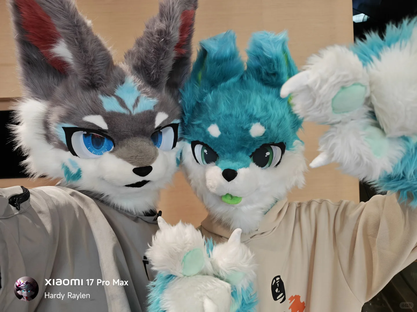 Hi furry值得五星好评