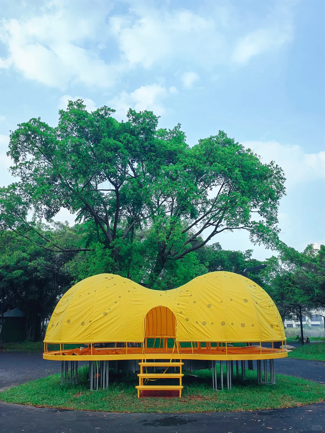 逛公园，看松山湖双年展，拥抱更开阔的世界