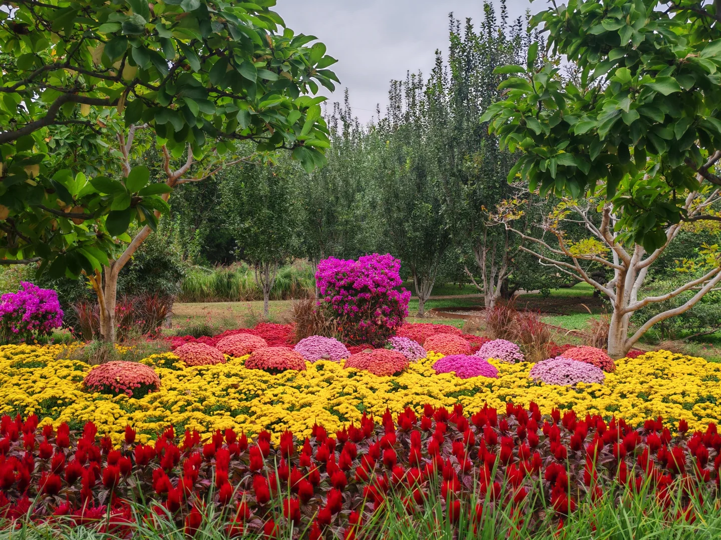 即便没有花植设计展，这个公园的花海也很美