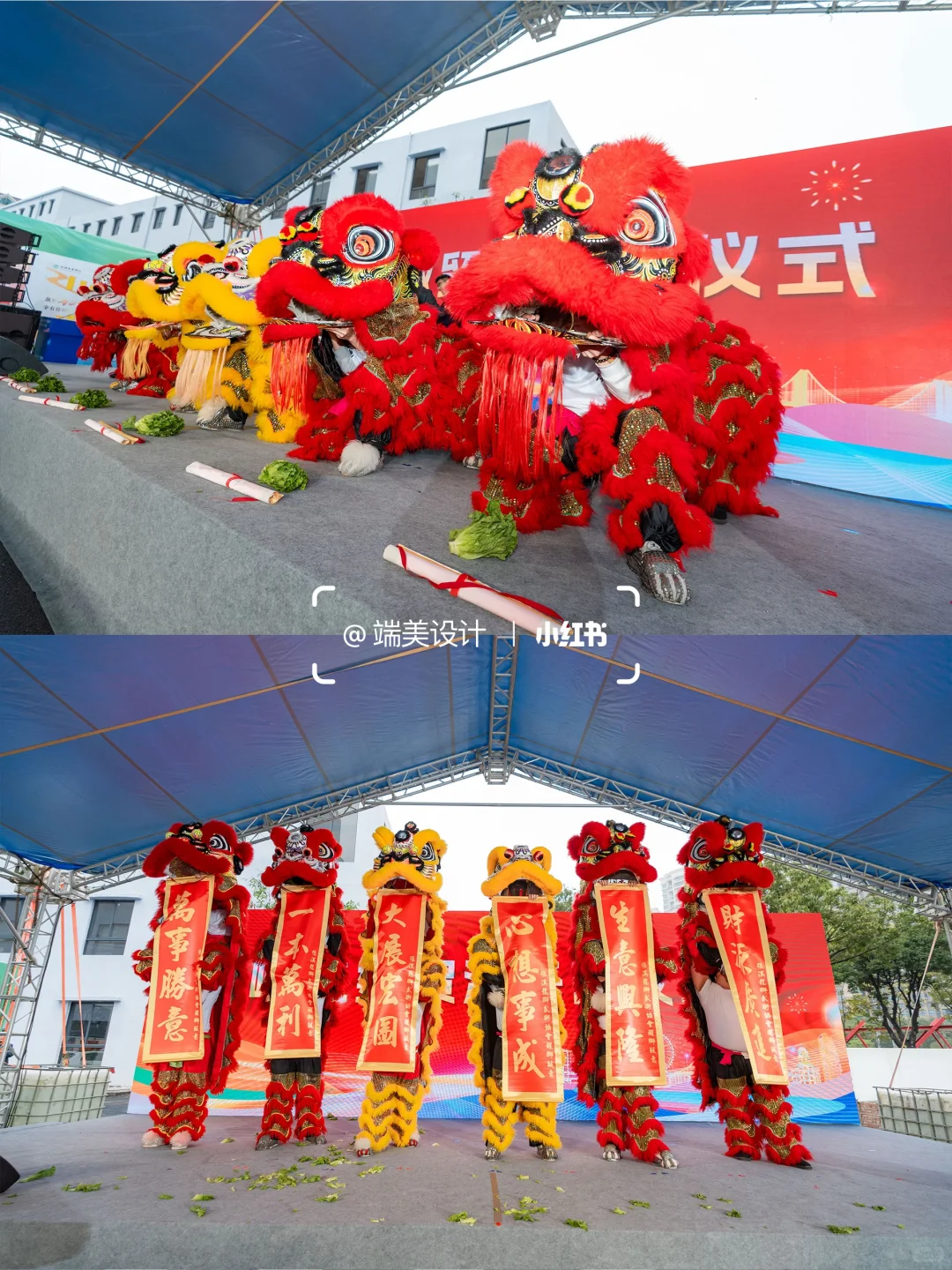 【专业铸就盛会，实力见证招商】