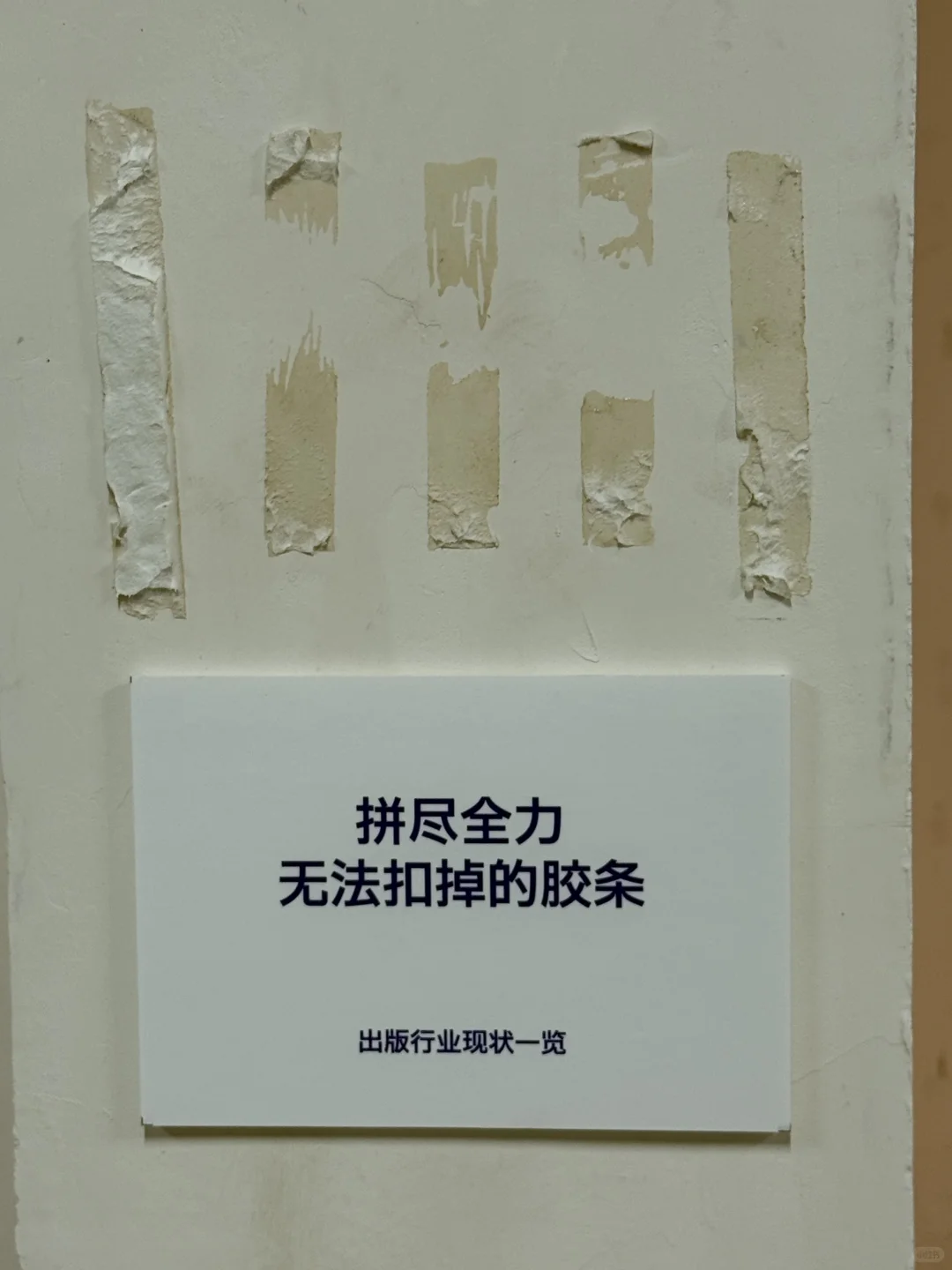 哈哈哈哈哈来逛展的绝对不要错过这些细节
