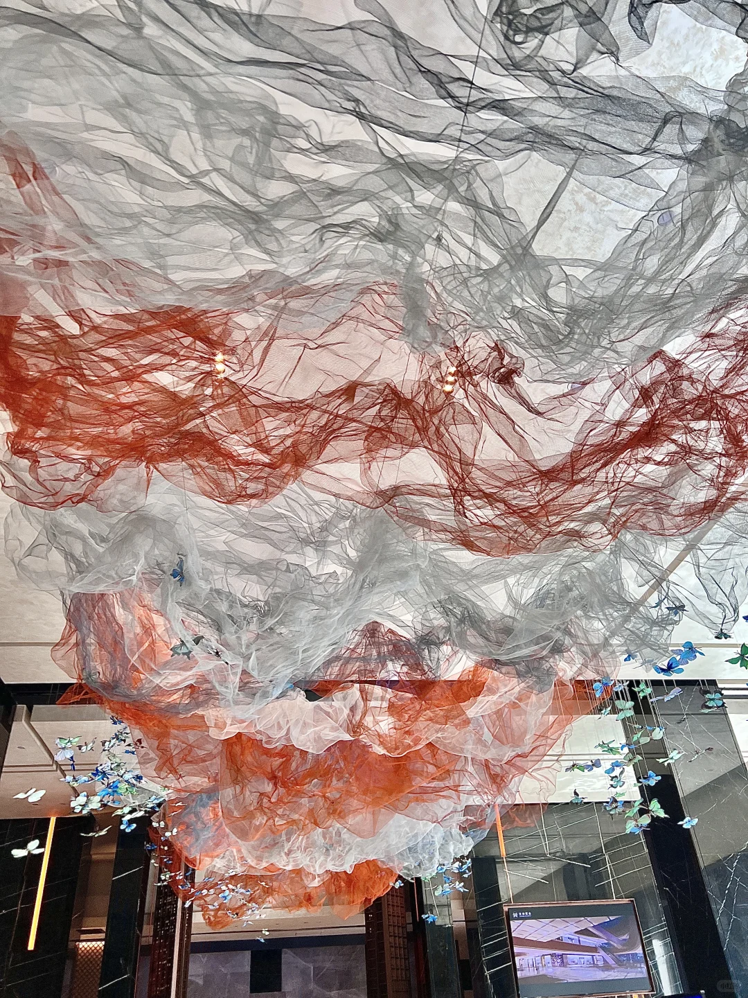 ?邯郸谁还没看这个的蝴蝶展啊！国庆冲??～