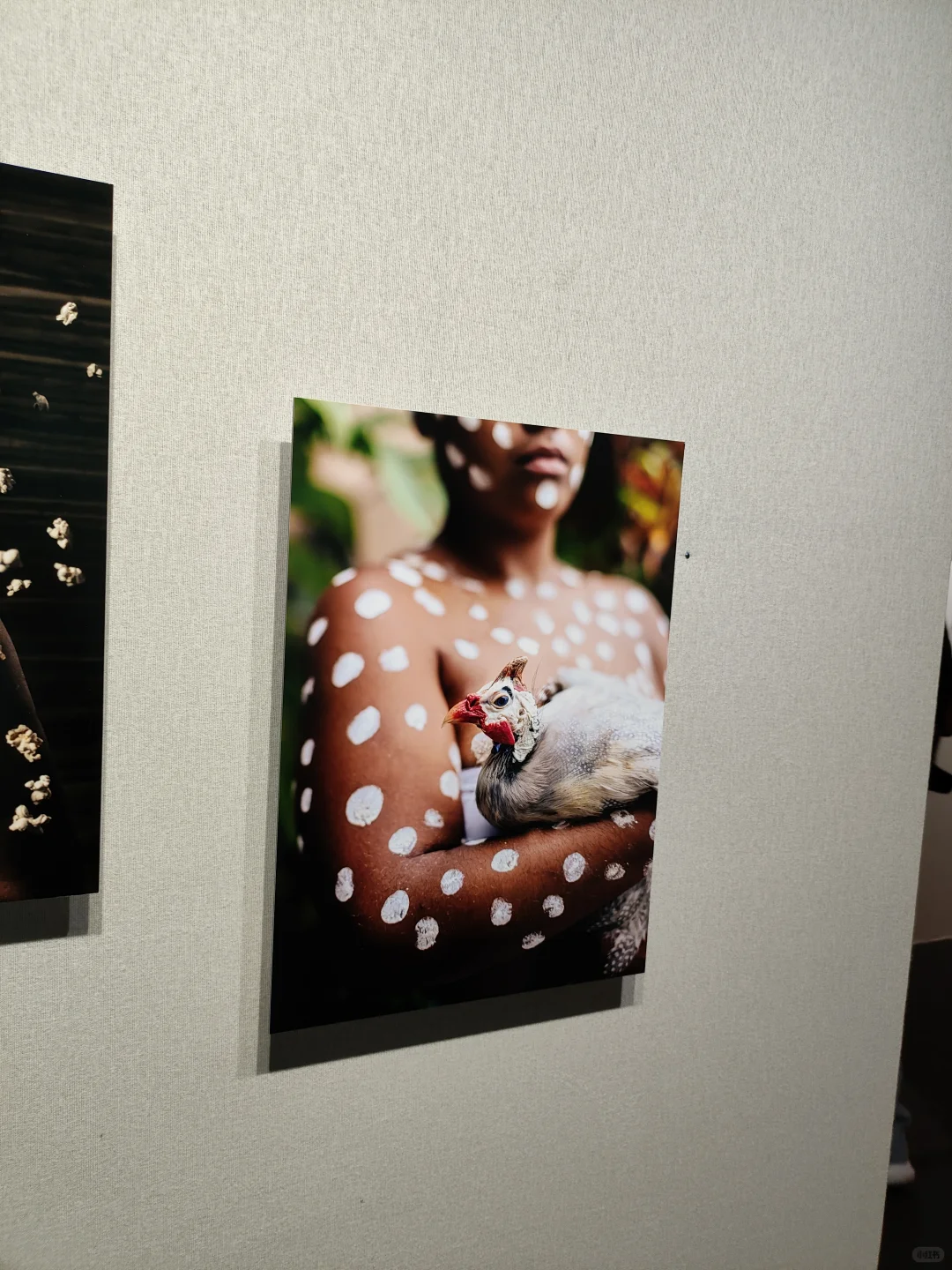 摄影器材展销会