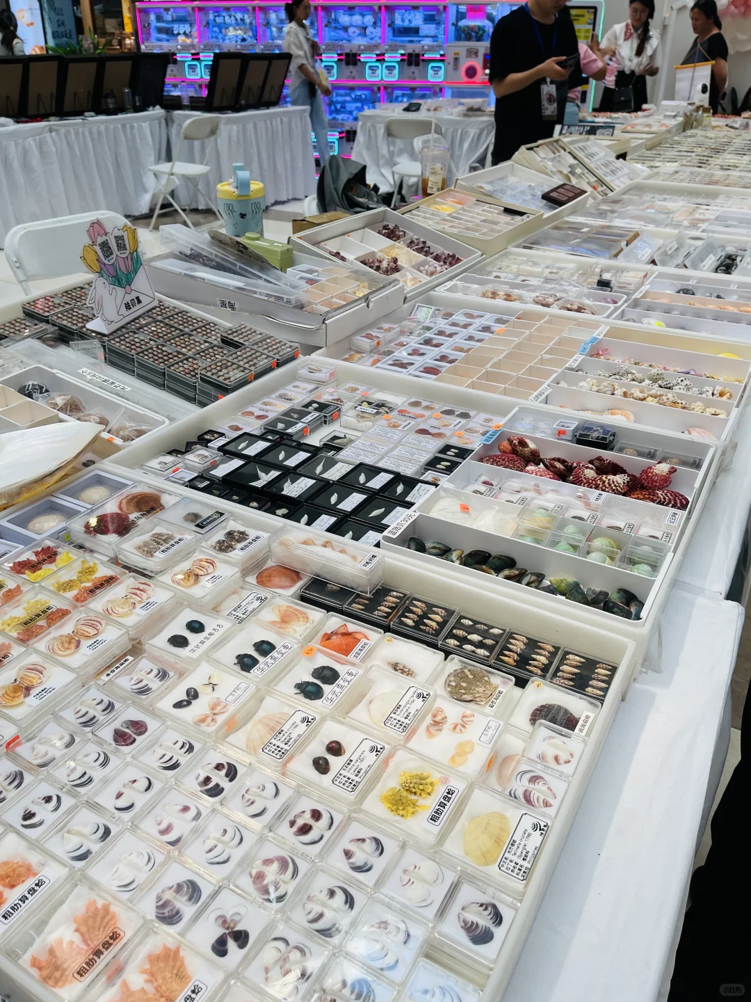 北京国庆免费逛展