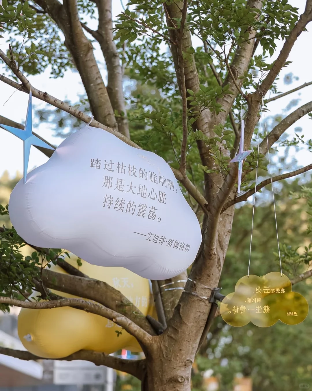 新手活动策划必看｜深圳大运秋日展活动案例