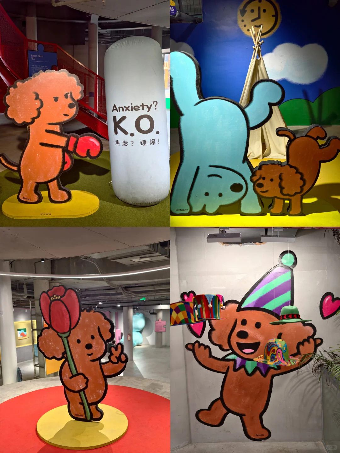 长沙新展｜宠物友好的免费小狗展好治愈❤️