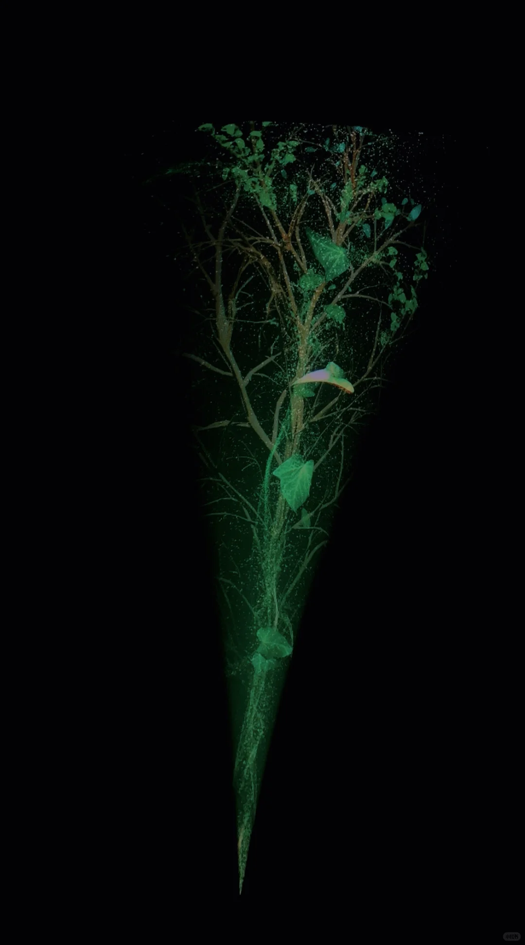 ??｜2025年大阪万博会