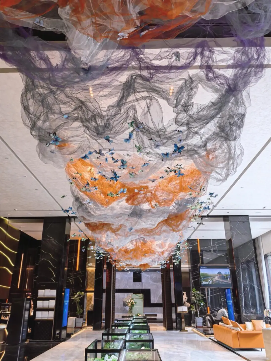 邯郸！拍照超出片！真蝴蝶?花房！