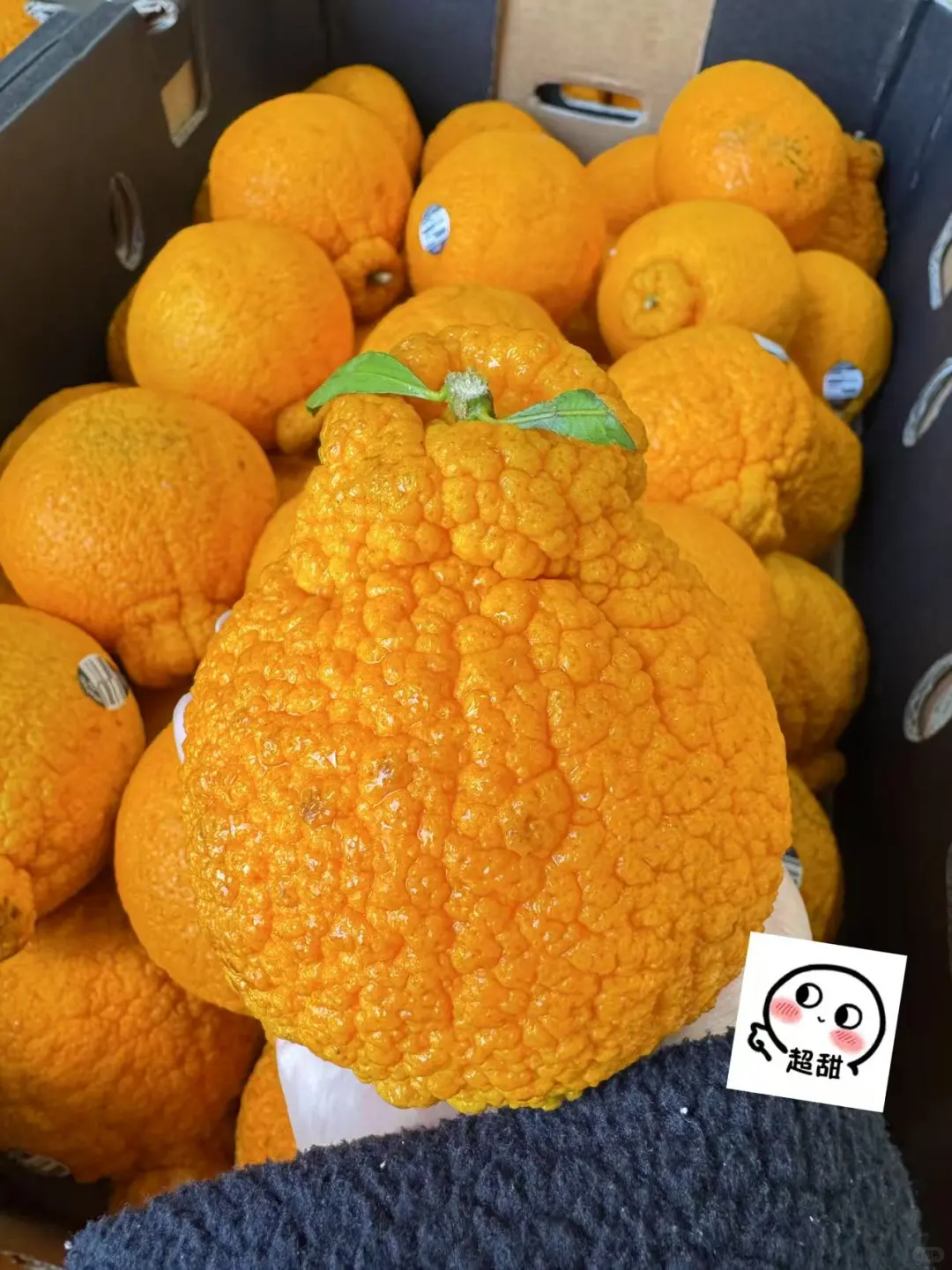 ??悉尼人都偷偷在逛的批发仓库太省钱了‼️