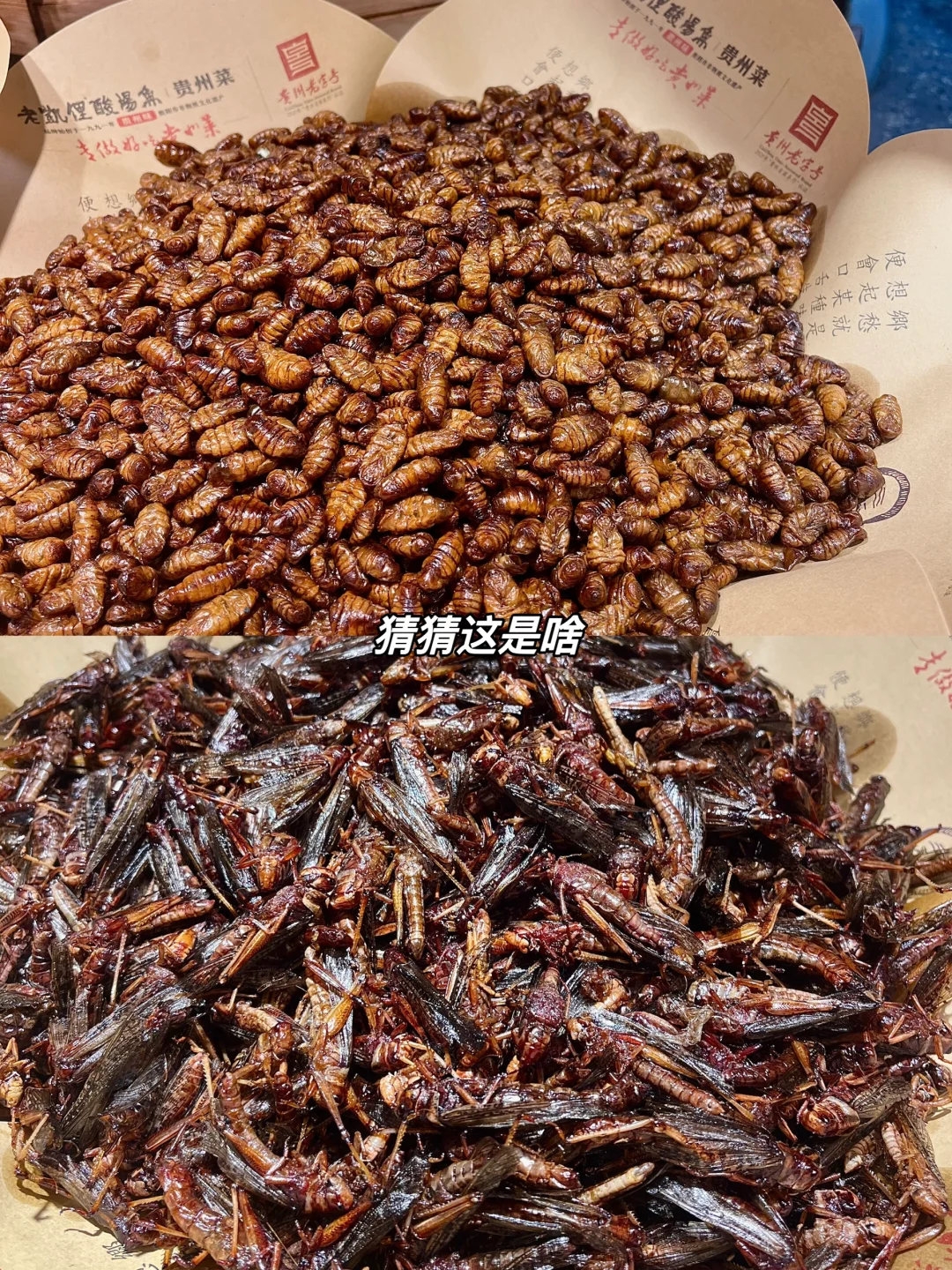 操盘大型展会不可不知的10个注意事项⚠️