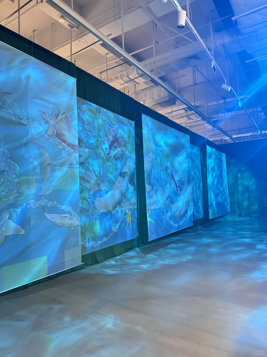 深圳南山公益展｜鲸鱼展会? ꙳⋆?.✰·.