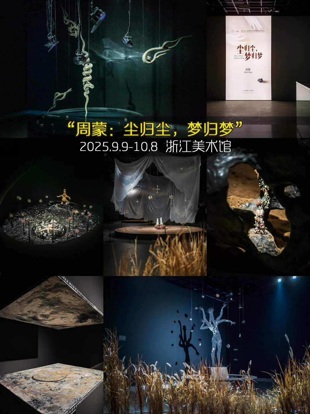 杭州10月99个免费展览❤️承包你的秋日文艺