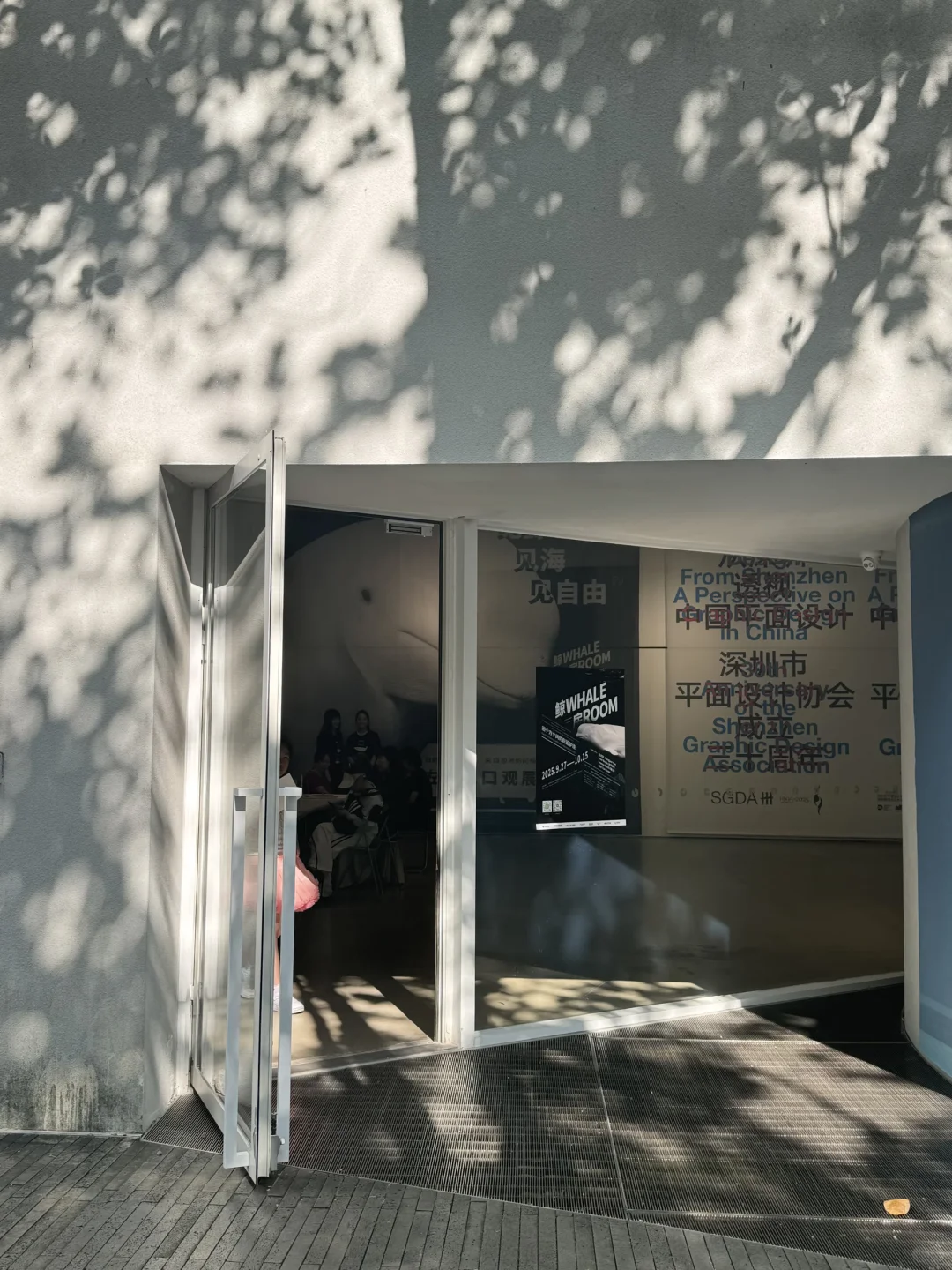 深圳南山公益展｜鲸鱼展会? ꙳⋆?.✰·.