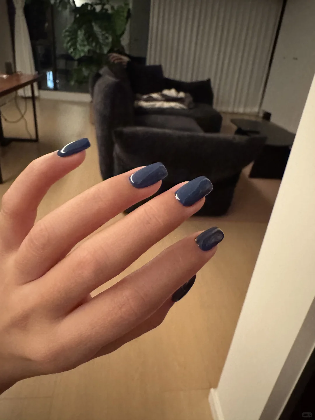 99块的建构单色美甲打几分？