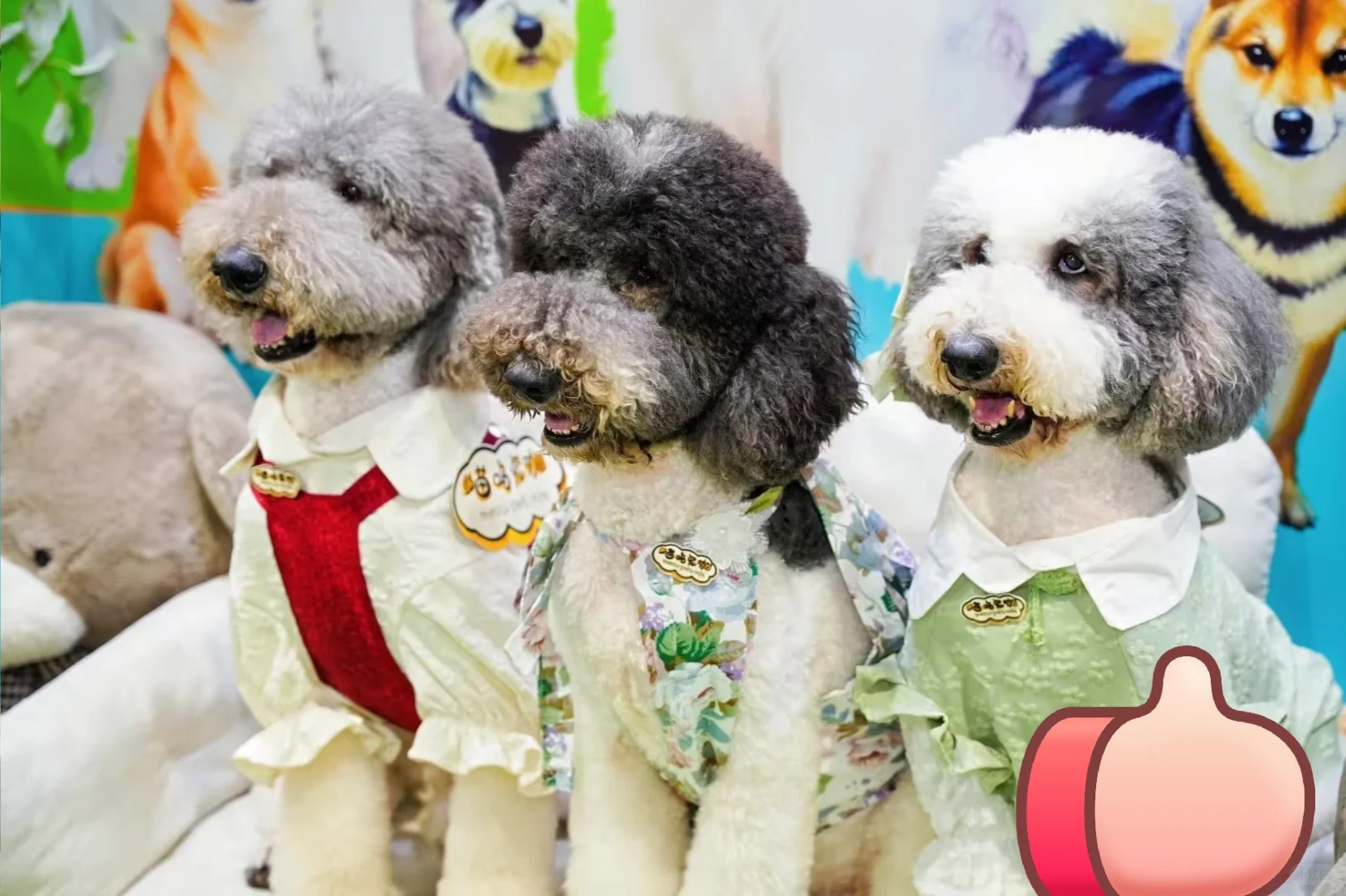 深圳礼品家居展送票啦｜卡皮巴拉见面会！！！