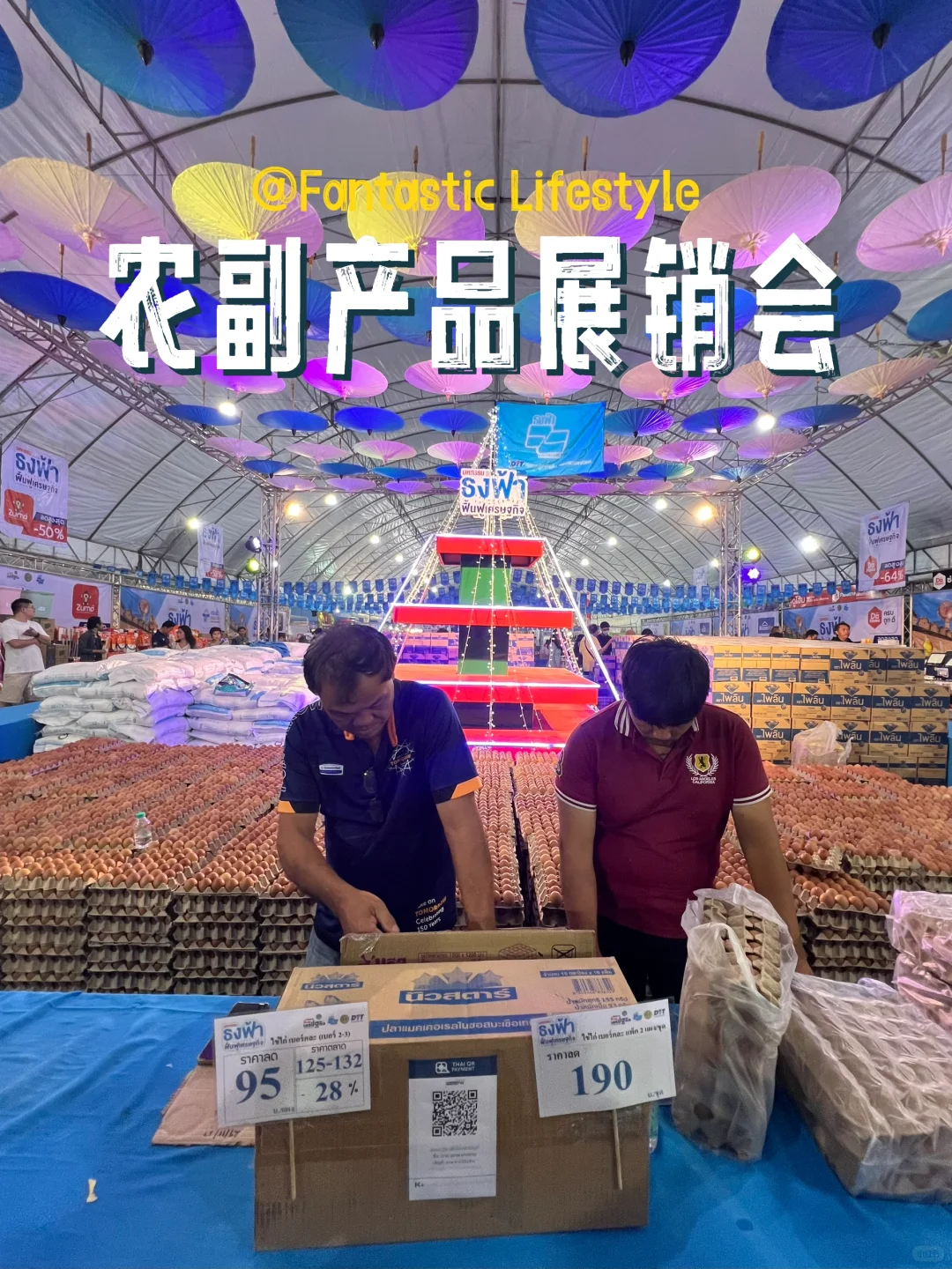 清迈｜谁还没去鲜花节门口的展销会呀？