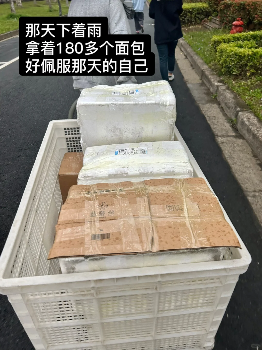 ?校园面包团长经验分享