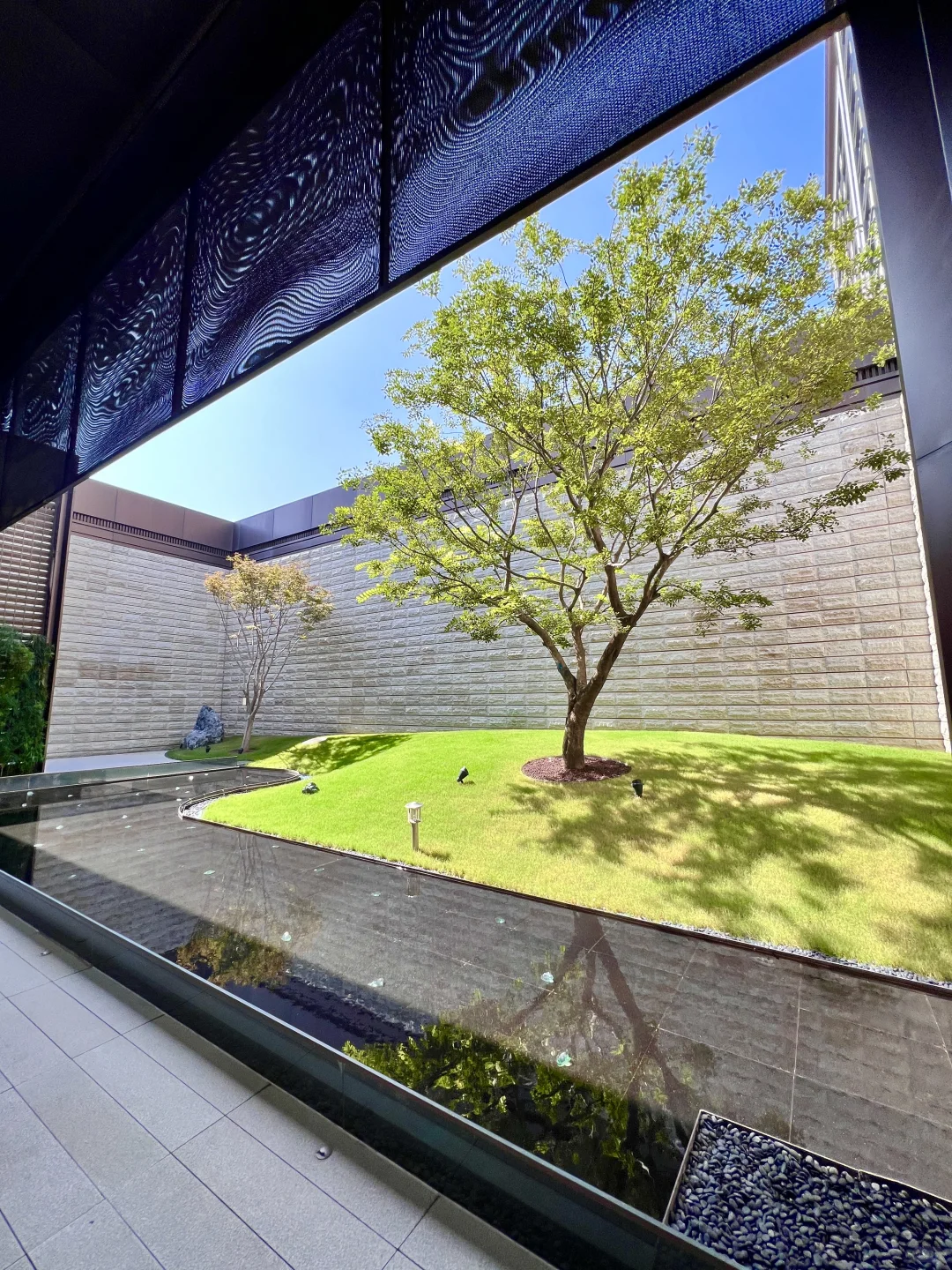 ?邯郸谁还没看这个的蝴蝶展啊！国庆冲??～