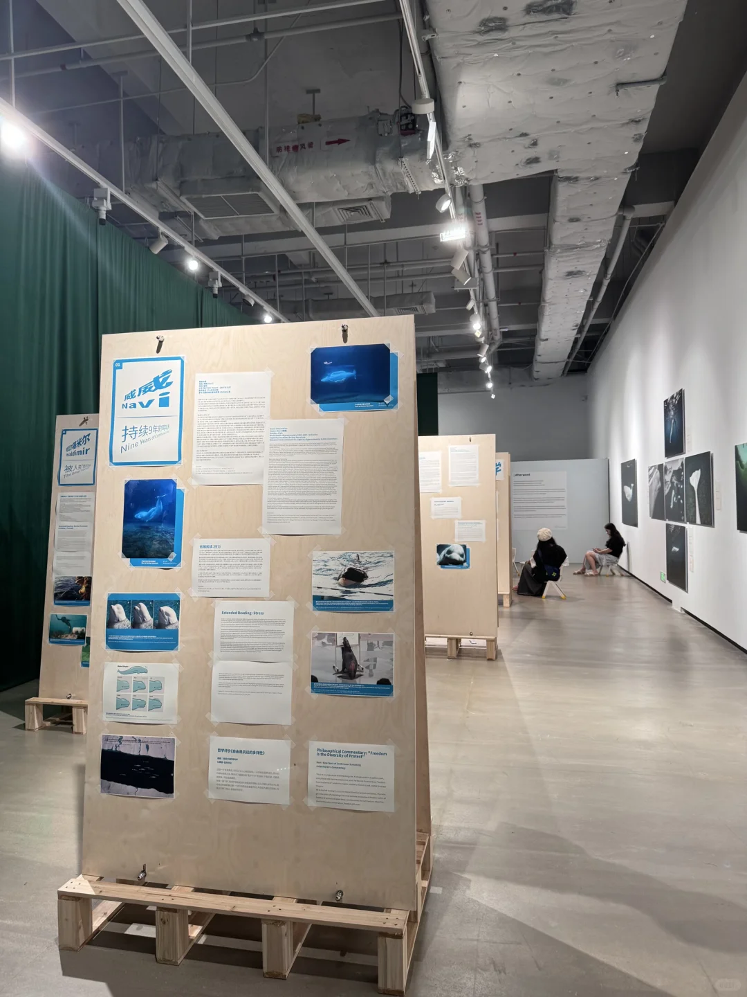 深圳南山公益展｜鲸鱼展会? ꙳⋆?.✰·.